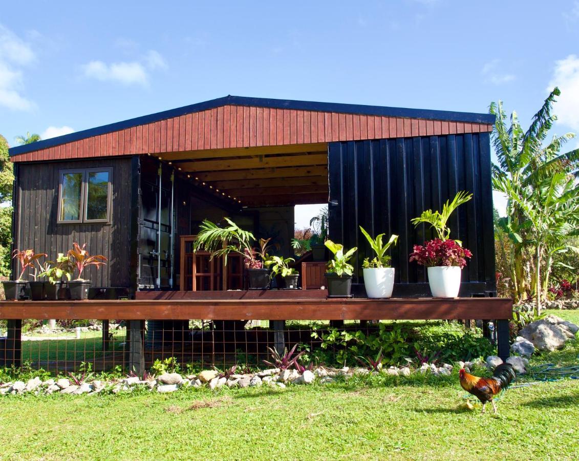 'Are Pepe One Bedroom Container Style Unit Ραροτόνγκα Εξωτερικό φωτογραφία